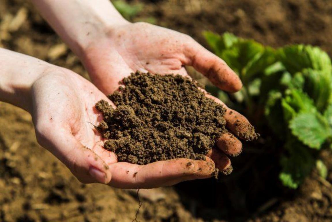 Как определить вид почвы и улучшить ее плодородие | Компания «Большая земля»