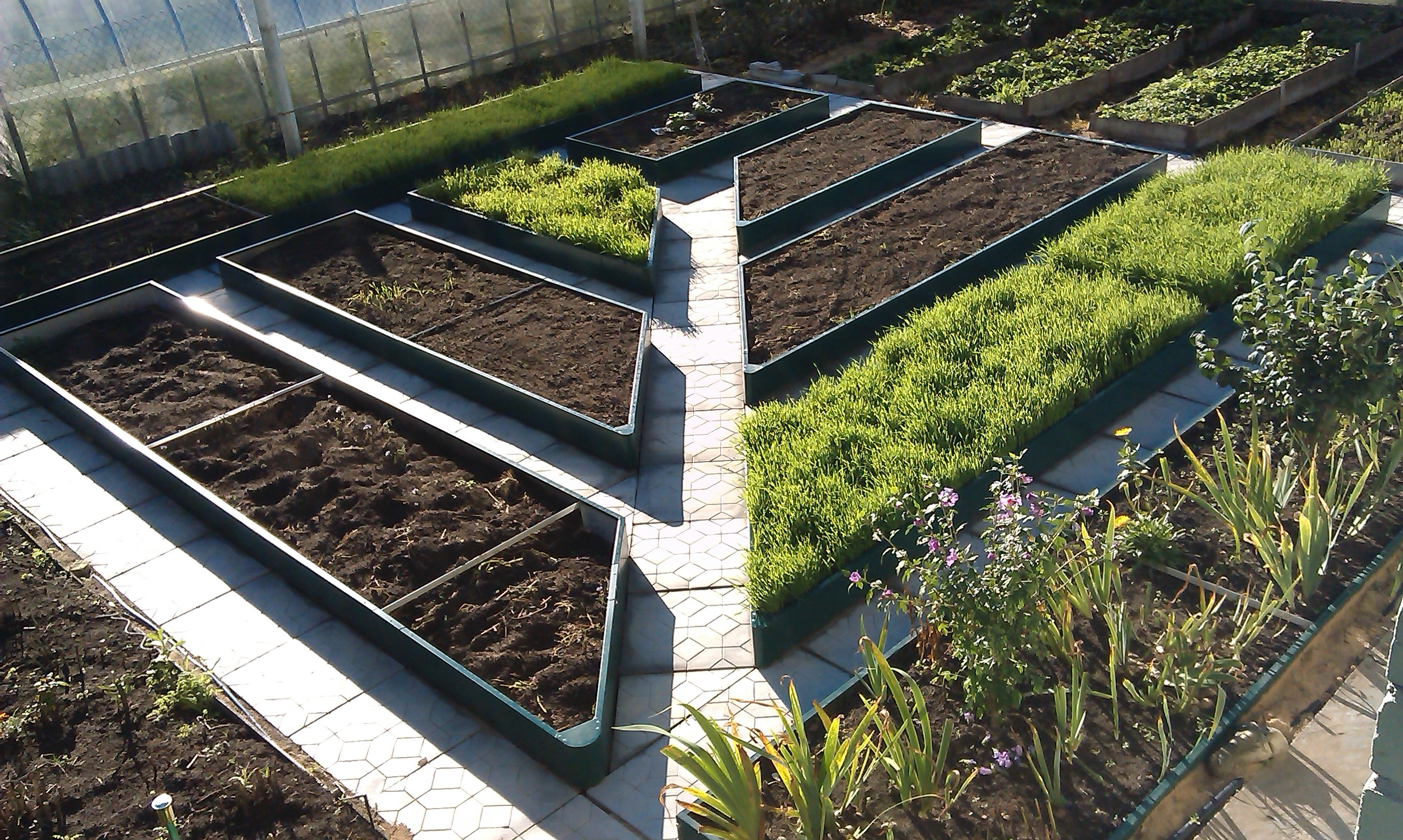 Как самому создать дизайнерский огород: простые советы | Школа садовода | Дзен