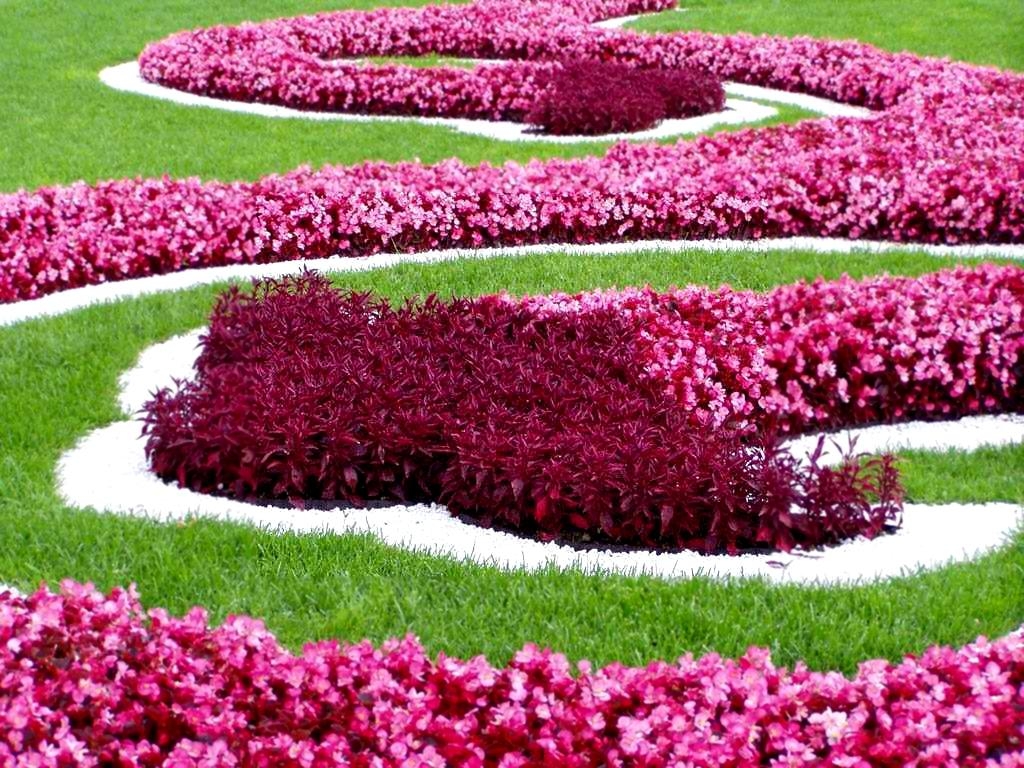 Красивые клумбы из многолетних цветов: 84 фото, готовые схемы | уральские-газоны.рф
