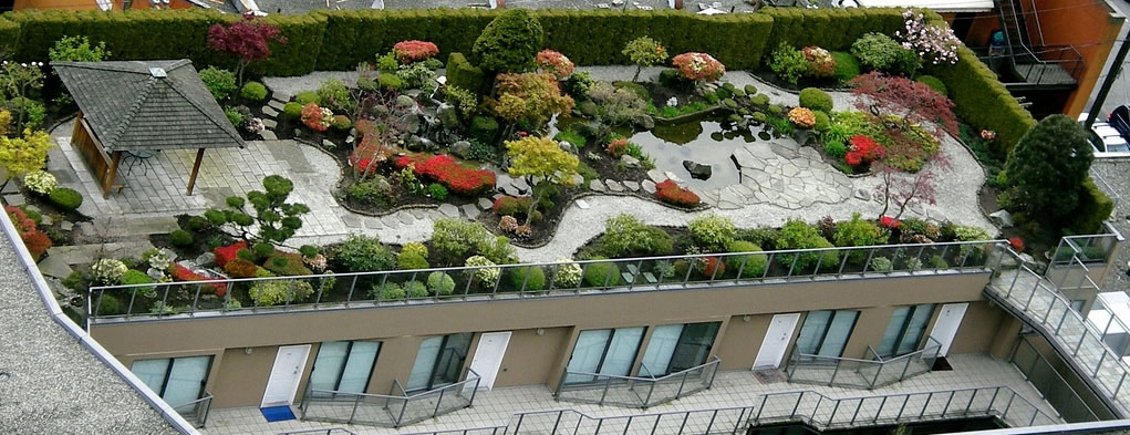 Дом с садом на крыше ( фото) - фото - картинки и рисунки: скачать бесплатно