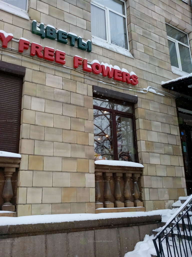 Круглосуточный санкт петербург. Ул Типанова 3 Санкт-Петербург. Типанова 24. Улица Типанова 5 СПБ. Duty free Flowers СПБ.