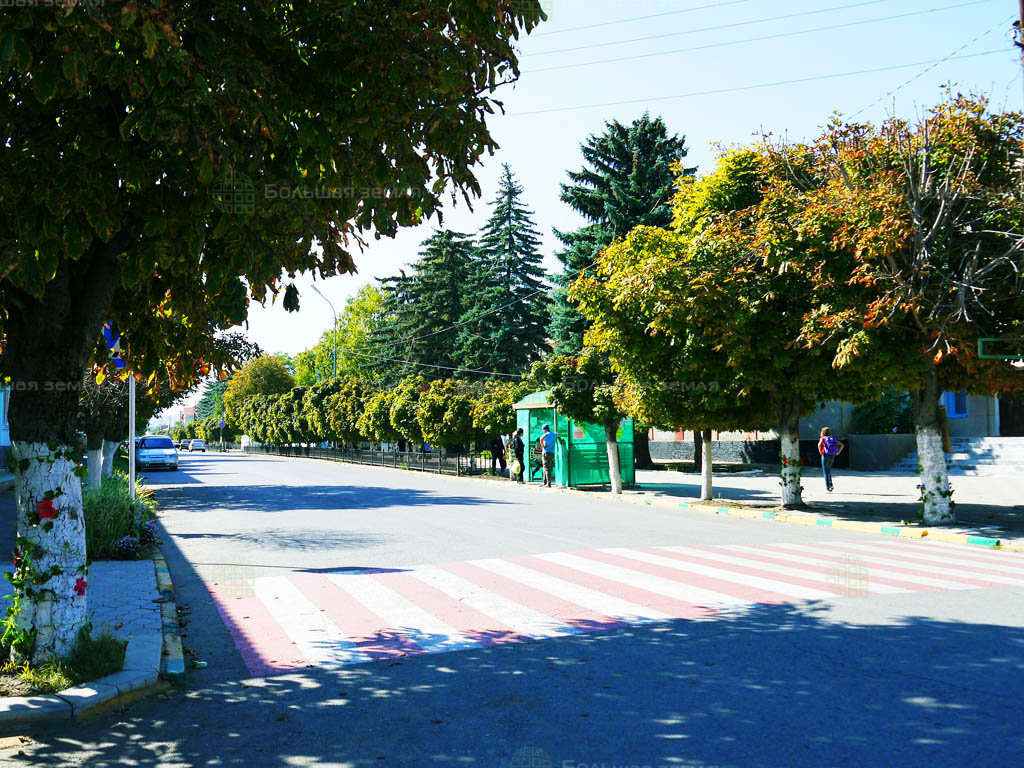 Парк софора отрадная краснодарский край